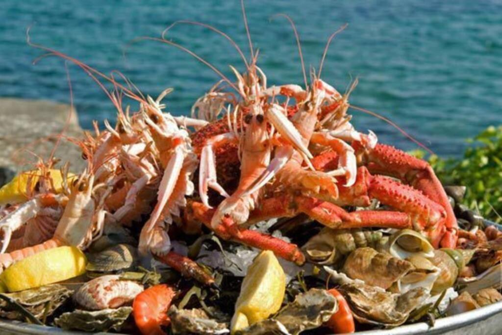 Saint-Pol-de-Léon Kermaravel, Le Petit Manoir En Bord De Mer. מראה חיצוני תמונה